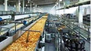 उप्र खाद्य प्रसंस्करण उद्योग नीति-2023 से उद्यमियों को मिलेगा नया आयाम