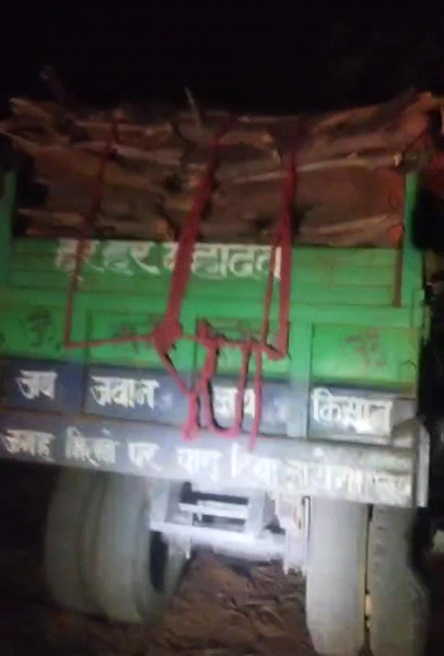 जंगल की बेशकीमती लकड़ी लेकर जा रहा ट्रैक्टर ट्रॉली धराया